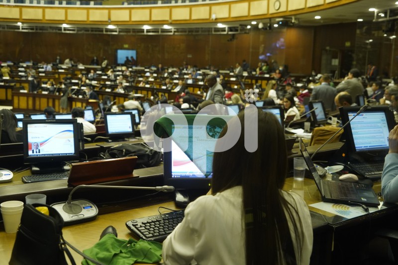 ASAMBLEA-PLENO-ABORTO