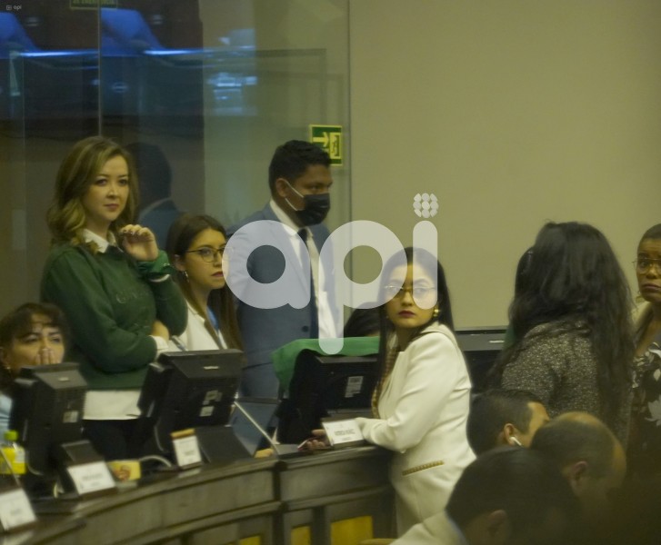 ASAMBLEA-PLENO-ABORTO