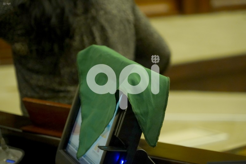 ASAMBLEA-PLENO-ABORTO
