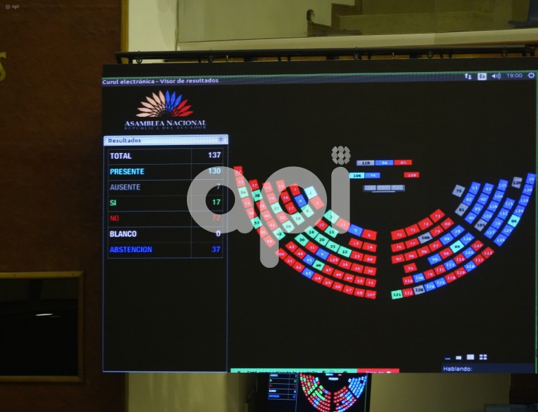 ASAMBLEA-PLENO-ABORTO