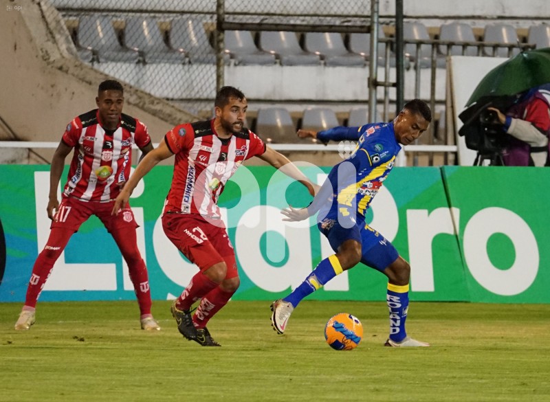 FBL-LIGA-PRO-TECNICO-DELFIN-