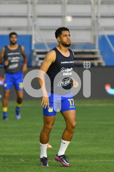 FBL-LIGAPRO-DELFIN - IDV