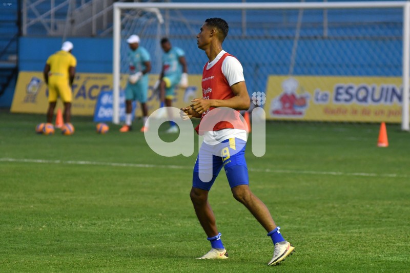 FBL-LIGAPRO-DELFIN - IDV