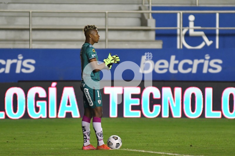 FBL-LIGAPRO-DELFIN - IDV