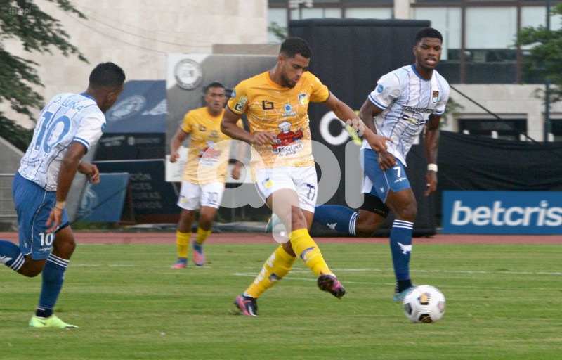 FBL-LIGAPRO-OCTUBRE-DELFIN