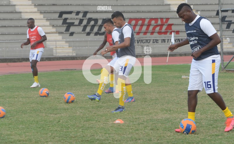 FBL-LIGAPRO-OCTUBRE-DELFIN