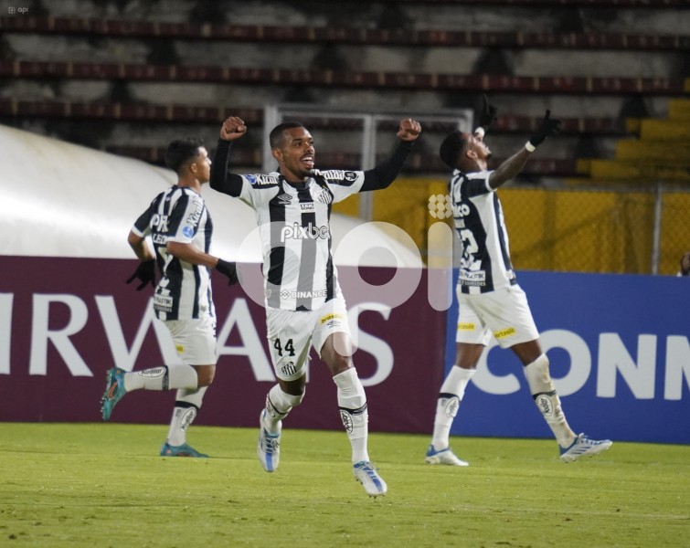FBL-SUDAMERICANA -CATOLICA-SANTOS