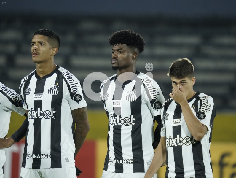 FBL-SUDAMERICANA -CATOLICA-SANTOS
