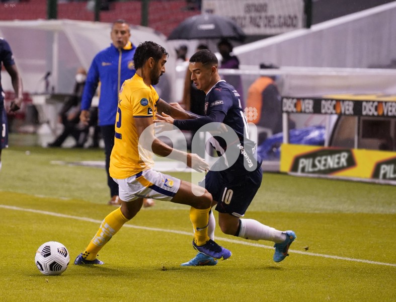 FBL-LIGAPRO-LIGA-DELFIN