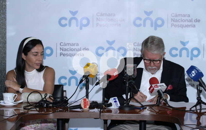 GYE-CAMARON POMADA