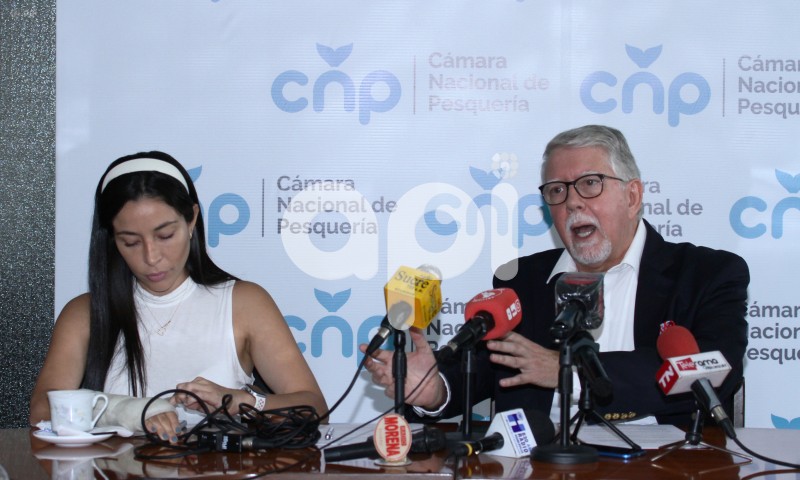 GYE-CAMARON POMADA
