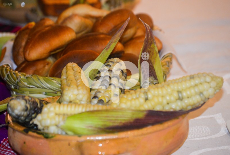 CUE-FESTIVAL-CHOCLO-NULTI