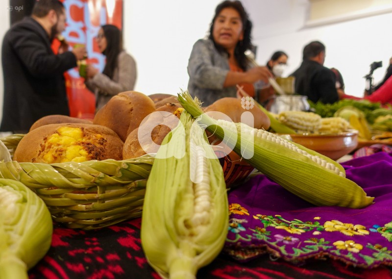 CUE-FESTIVAL-CHOCLO-NULTI