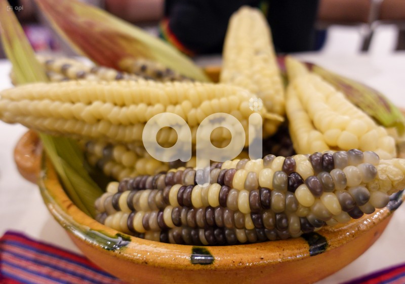 CUE-FESTIVAL-CHOCLO-NULTI