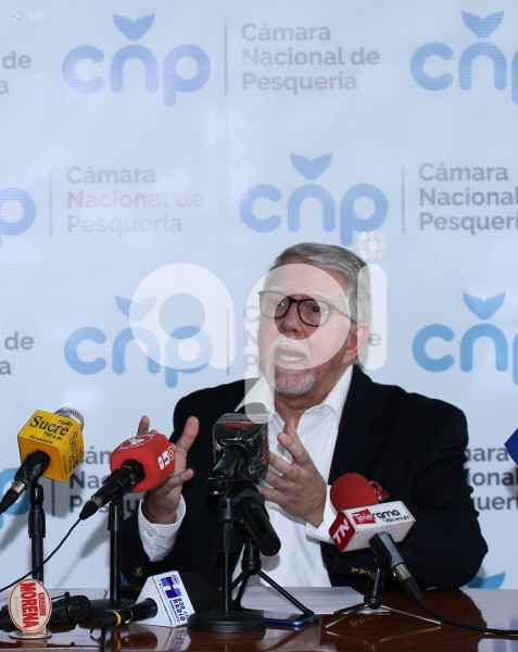 GYE-CAMARON POMADA