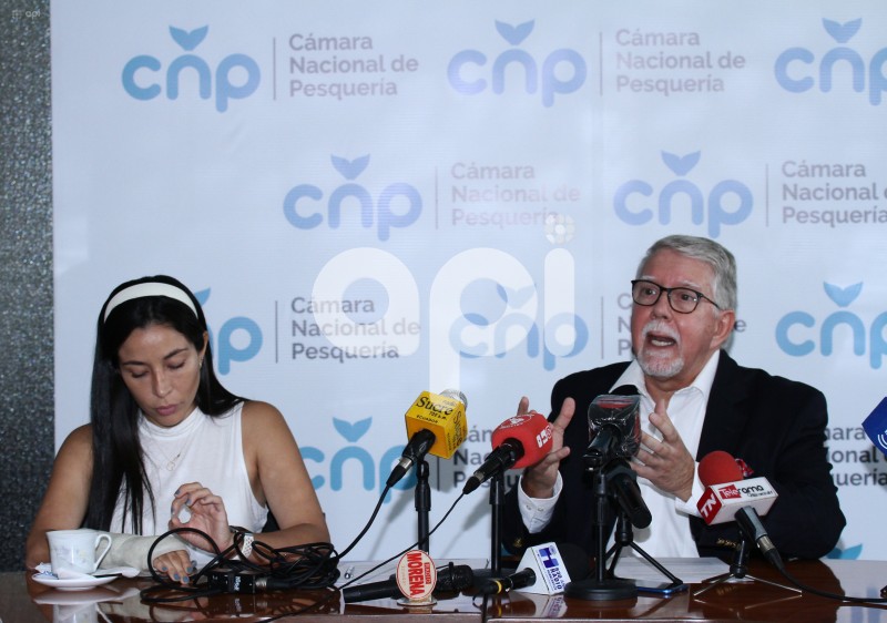 GYE-CAMARON POMADA