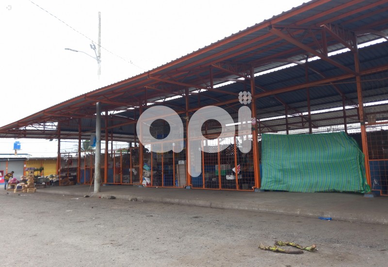 GYE-MERCADO VIVERES