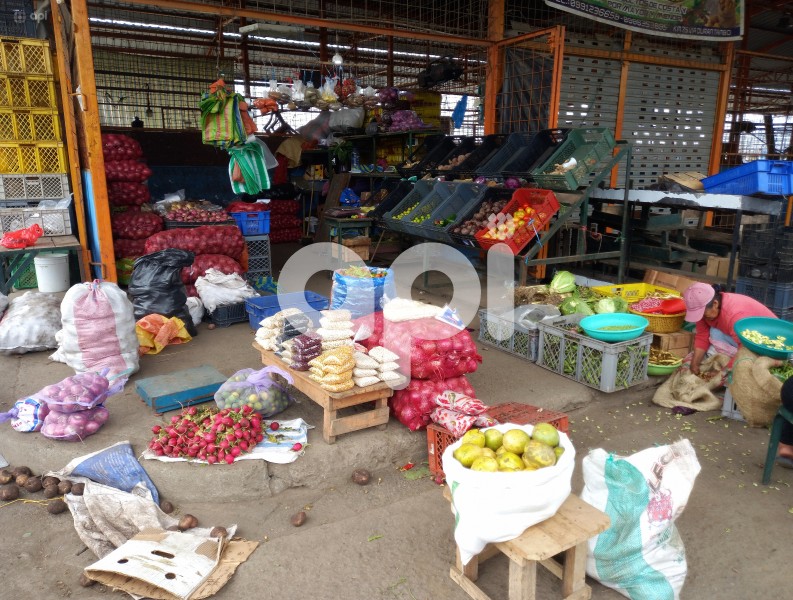 GYE-MERCADO VIVERES