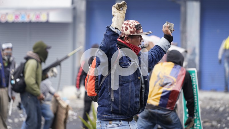 UIO-PROTESTAS-ARBOLITO