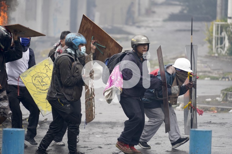 UIO-PROTESTAS-ARBOLITO