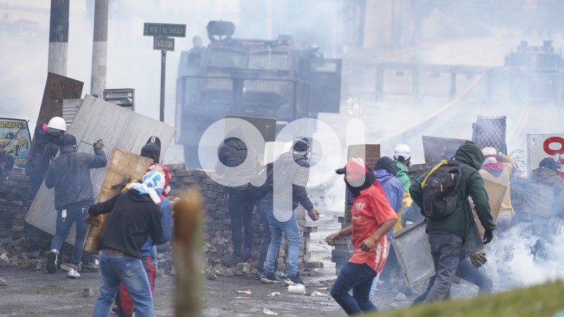 UIO-PROTESTAS-ARBOLITO