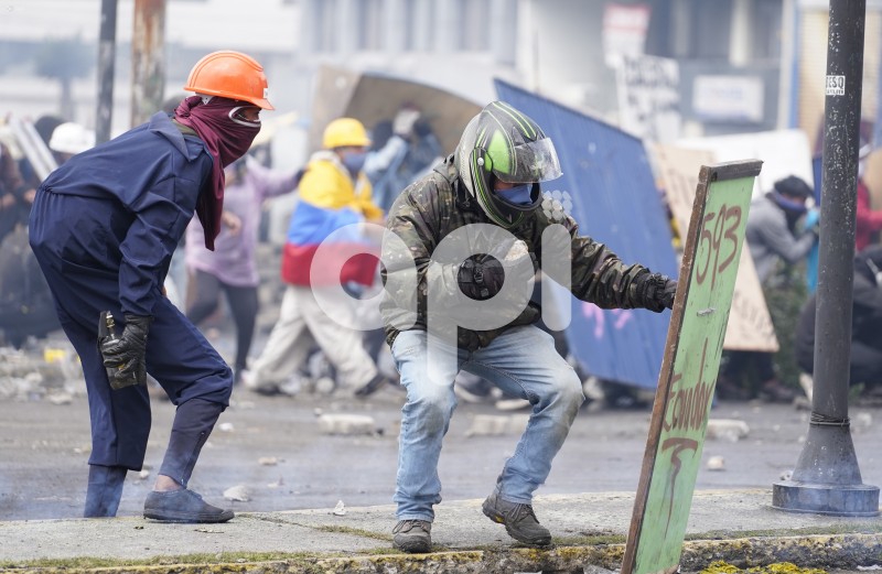UIO-PROTESTAS-ARBOLITO