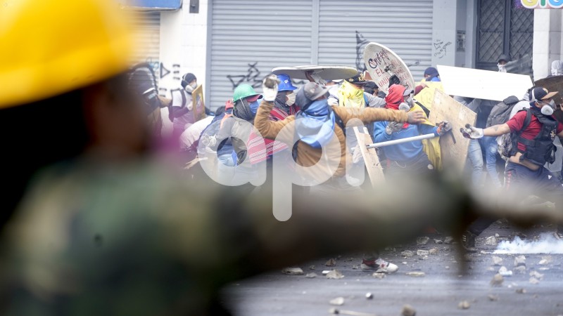 UIO-PROTESTAS-ARBOLITO