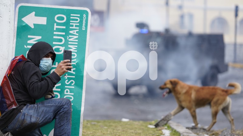 UIO-PROTESTAS-ARBOLITO