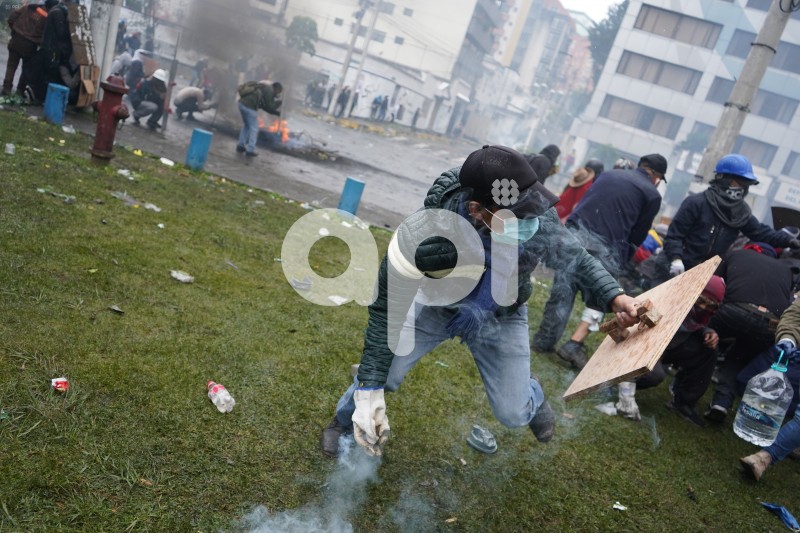 UIO-PROTESTAS-ARBOLITO