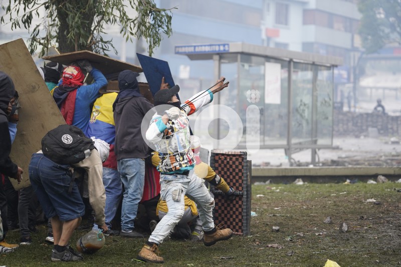 UIO-PROTESTAS-ARBOLITO
