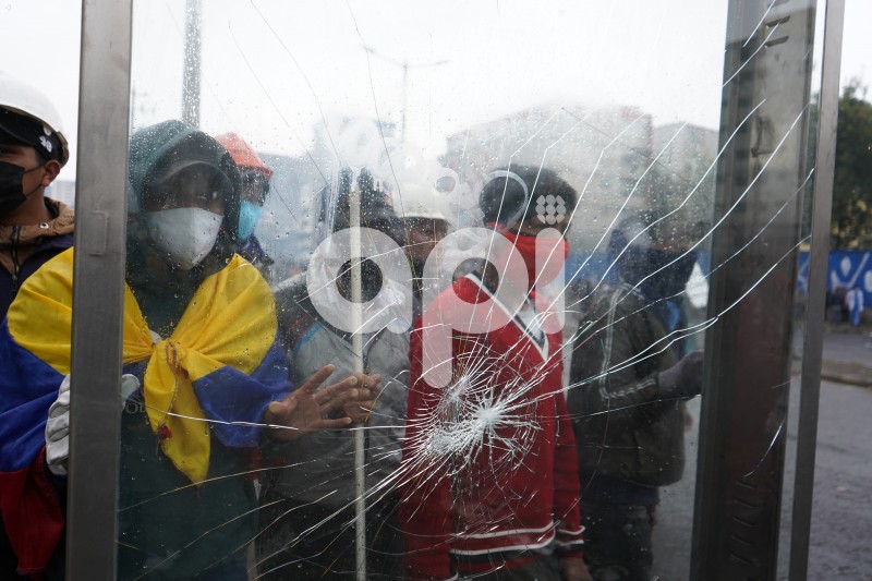 UIO-PROTESTAS-ARBOLITO