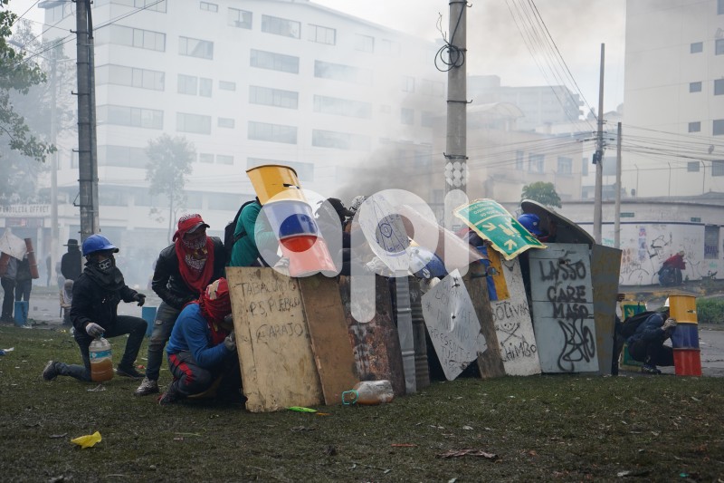 UIO-PROTESTAS-ARBOLITO