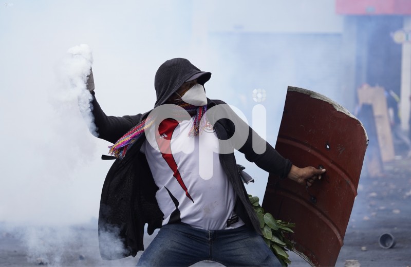 UIO-PROTESTAS-ARBOLITO