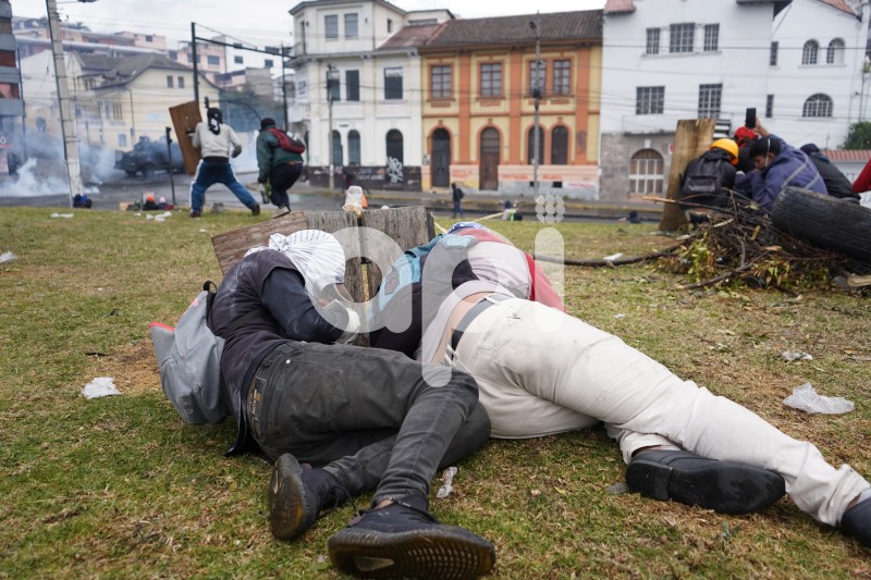 UIO-PROTESTAS-ARBOLITO