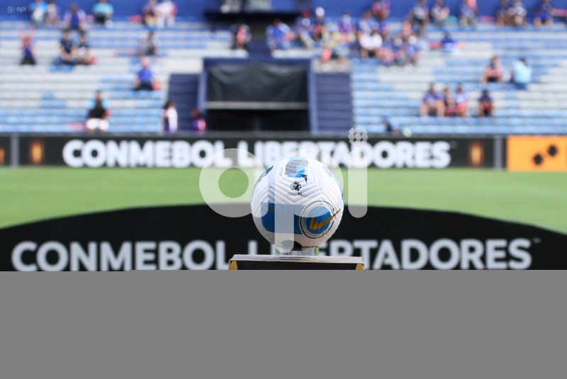 FBL-LIBERTADORES-EMELEC-MINEIRO
