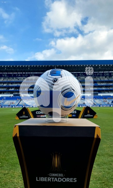 FBL-LIBERTADORES-EMELEC-MINEIRO