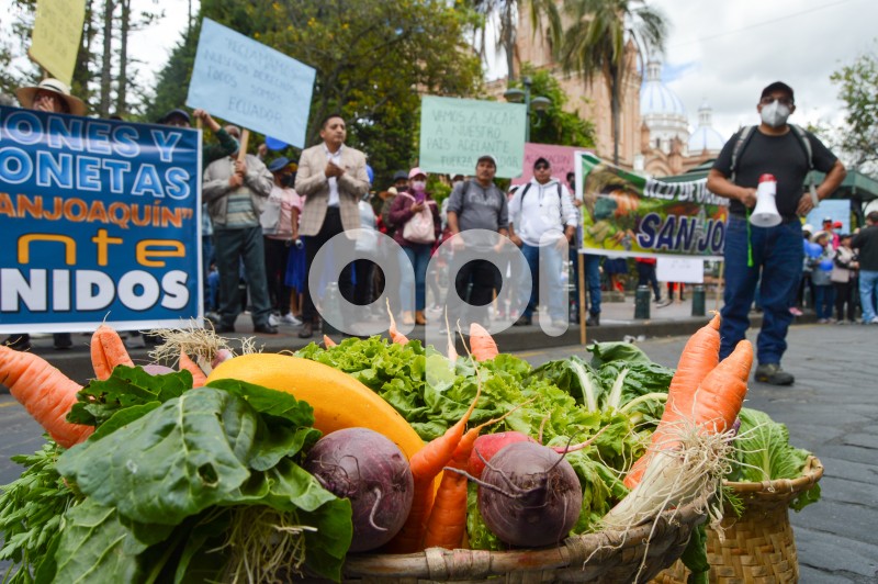CUENCA-PARO-NACIONAL-AGROPRODUCTORES