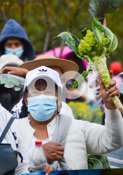 CUENCA-PARO-NACIONAL-AGROPRODUCTORES