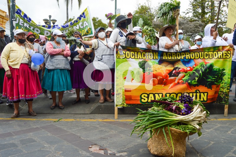 CUENCA-PARO-NACIONAL-AGROPRODUCTORES