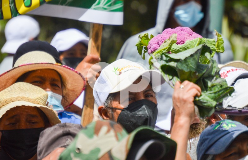 CUENCA-PARO-NACIONAL-AGROPRODUCTORES