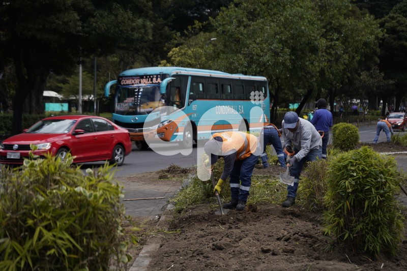 UIO-PROTESTAS-FIN-COTIDIANIDAD