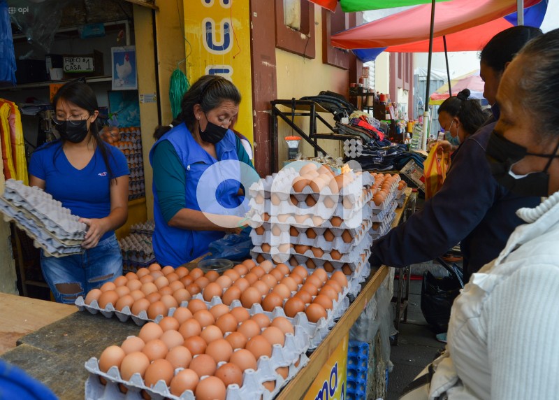 CUENCA-VENTA-HUEVOS