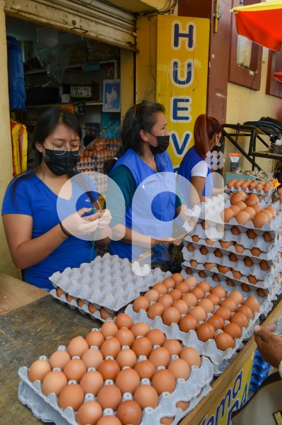 CUENCA-VENTA-HUEVOS