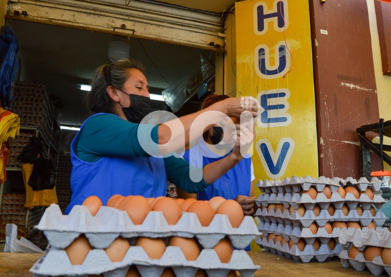 CUENCA-VENTA-HUEVOS