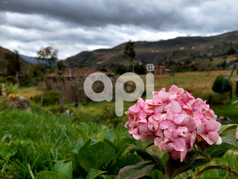 CUE-TURISMO CUENCA
