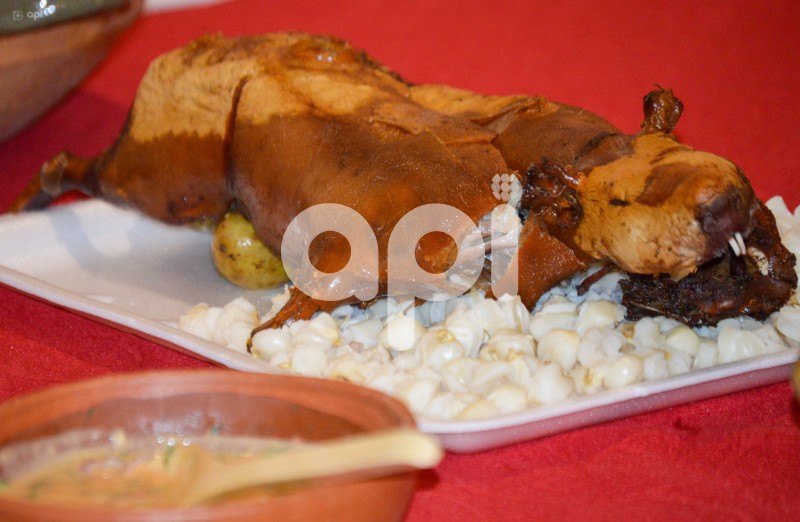 CUENCA-LANZAMIENTO-FESTIVAL-SANCOCHO-RICAURTE
