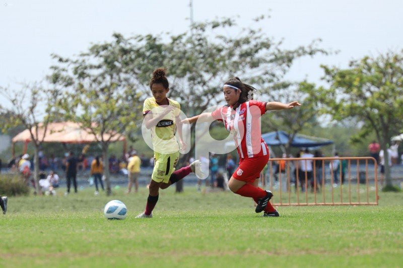 FBL-SUPERLIGA-BARCELONA-T UNIVERSITARIO