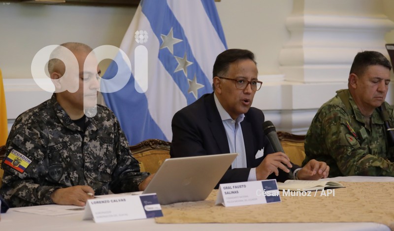 GYE-GABINETE SEGURIDAD