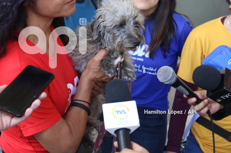 UIO-PROYECTO-LEY-ANIMALES