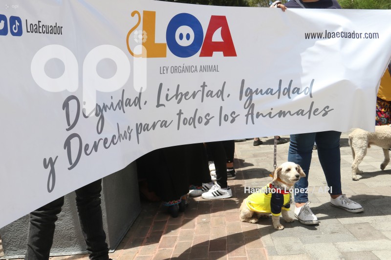 UIO-PROYECTO-LEY-ANIMALES